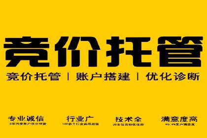 揭秘成功的关键词竞价排名背后的策略与执行